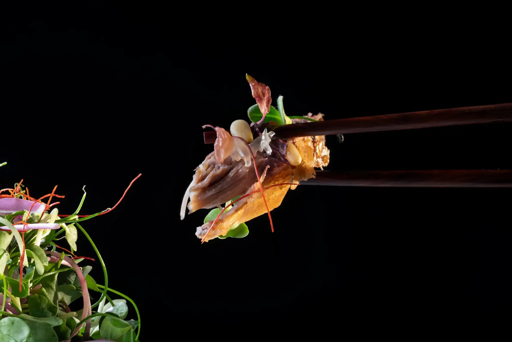 Crispy Duck Salad